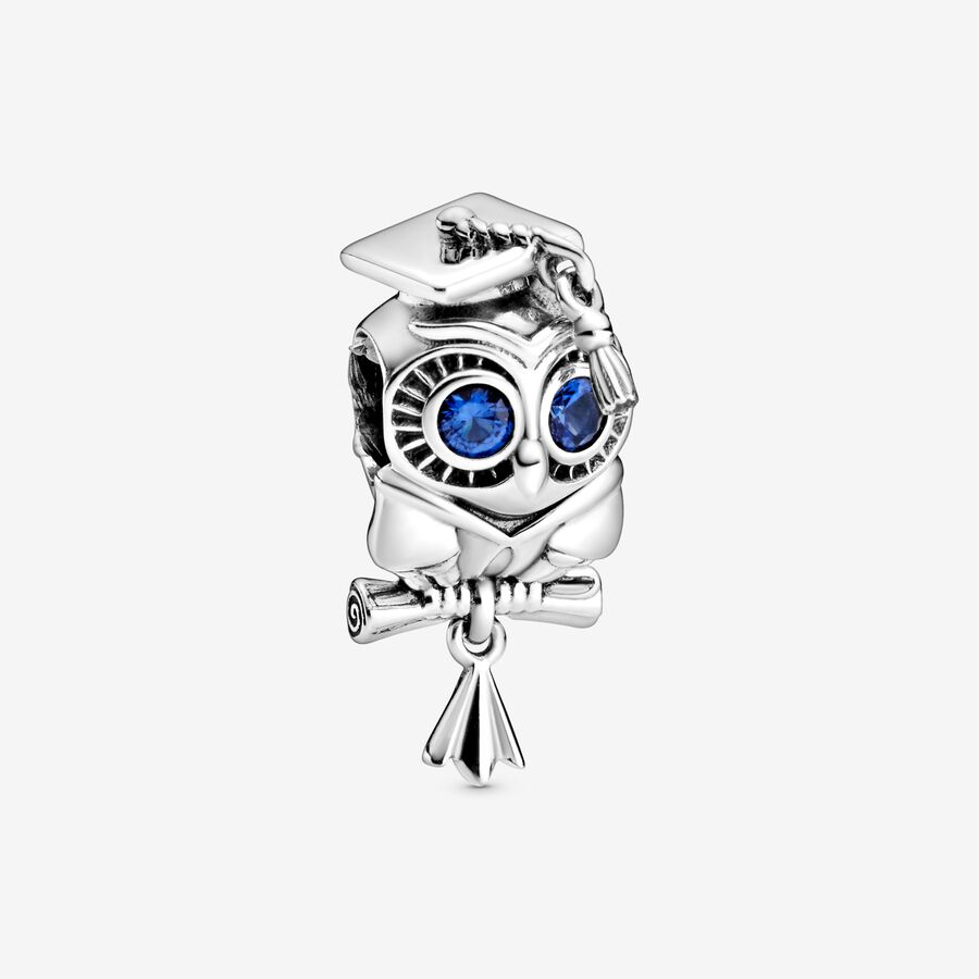 Wise Owl Graduation Charm image number 0