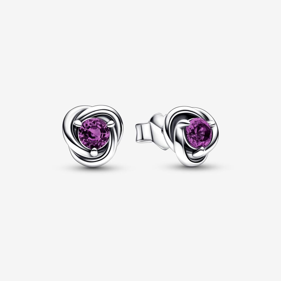 Purple Eternity Circle Stud Earrings image number 0